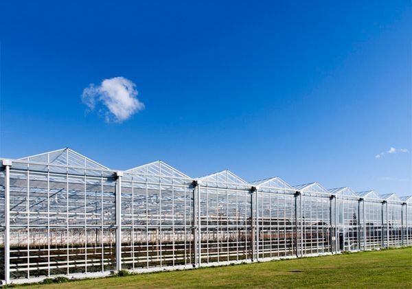 玻璃溫室廠家